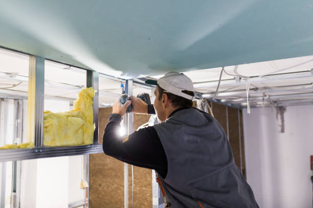 Best Insulation Installation Services in San Diego, TX
