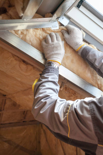 Best Types of Insulation in San Diego, TX