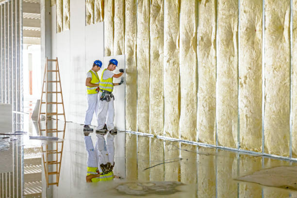 San Diego, TX Insulation Contractor Pros